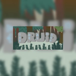 Druid Steam CD Key