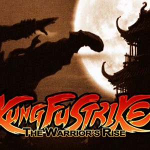 Kung Fu Strike - The Warrior's Rise + Master Level DLC PC Steam CD Key