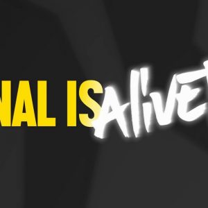 NAL Is Alive Steam CD Key