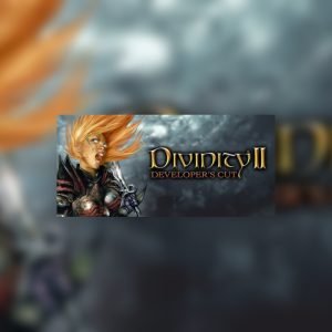 Divinity II: Developer's Cut Steam CD Key