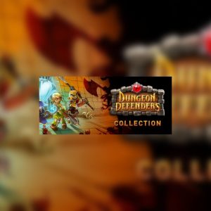 Dungeon Defenders Collection (Summer-Winter 2012) Steam CD Key
