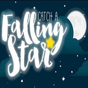 Catch a Falling Star PC Steam CD Key