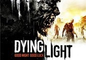 Dying Light - Season Pass Steam Gift
