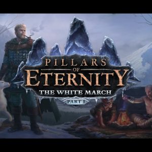 Pillars of Eternity: The White March - Part 1 Steam CD Key