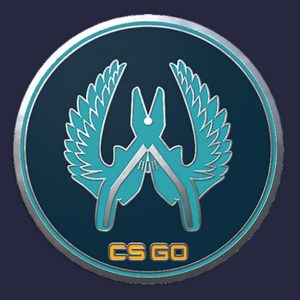 CS:GO - Series 1 - Guardian Collectible Pin