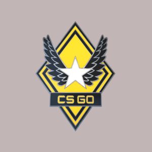 CS:GO - Series 1 - Victory Collectible Pin
