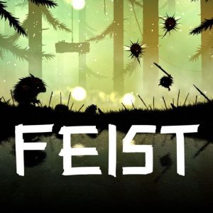 Feist PC Steam CD Key