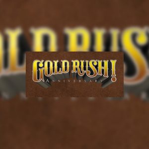 Gold Rush! Anniversary Special Edition Steam Gift