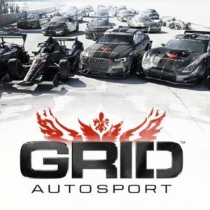 GRID Autosport US Steam CD Key