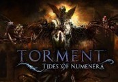 Torment: Tides of Numenera - Mindforged Synthsteel Plating DLC Steam CD Key