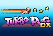 Turbo Pug DX Steam CD Key