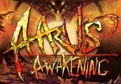 Aaru's Awakening Steam CD Key