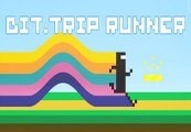 BIT.TRIP RUNNER PC Steam CD Key