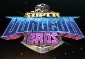 Super Dungeon Bros PC Steam CD Key