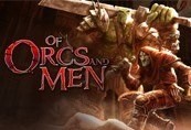 Of Orcs And Men PC Steam CD Key