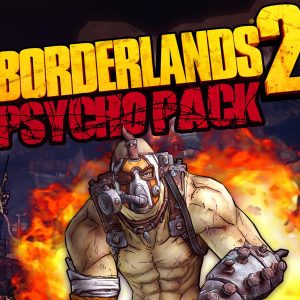 Borderlands 2 - Psycho Pack DLC PC Steam CD Key