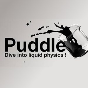 Puddle Steam CD Key