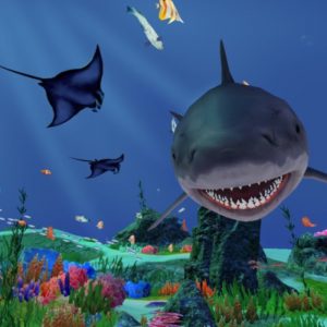 Fancy Fishing VR PC Steam CD Key