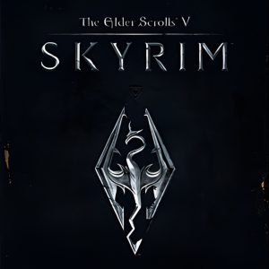 The Elder Scrolls V: Skyrim PL Language Only PC Steam CD Key