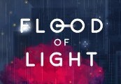 Flood of Light Steam CD Key