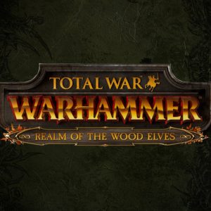 Total War: Warhammer - Realm of The Wood Elves DLC Steam CD Key