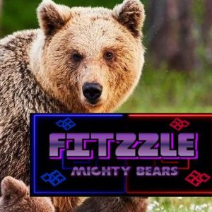 Fitzzle Mighty Bears Steam CD Key