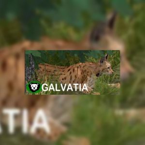 Galvatia Steam CD Key