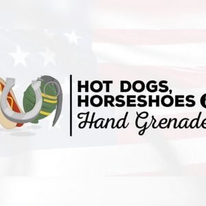 Hot Dogs, Horseshoes & Hand Grenades EU Steam Altergift