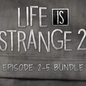 Life is Strange 2 - Episodes 2-5 bundle DLC EU PC Steam CD Key