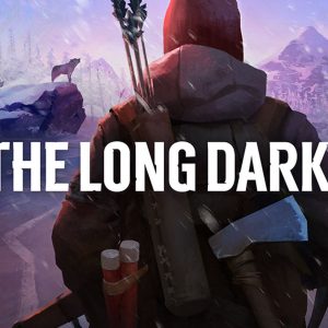 The Long Dark EU PC Steam CD Key