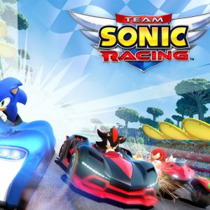 Team Sonic Racing EU Steam CD Key